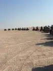 Bedouin Dinner & Sunset Camel Ride at the Giza Pyramids — Evening Private Tour